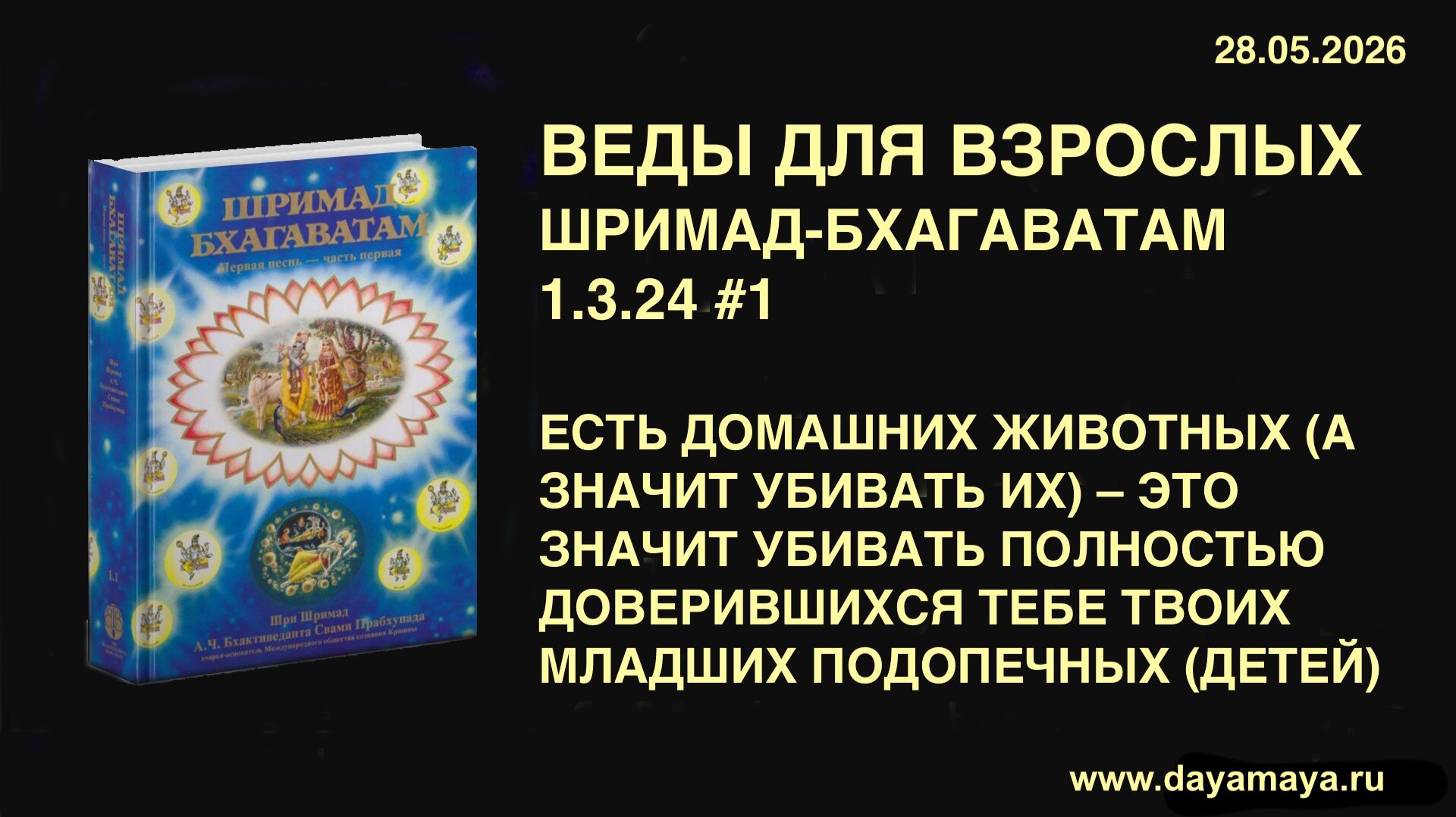 Веды для взрослых. Шримад-Бхагаватам 1.3.24