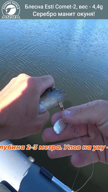 ⚡ Серебро, которое приносит поклевки окуня!  #рыбалка #fishing