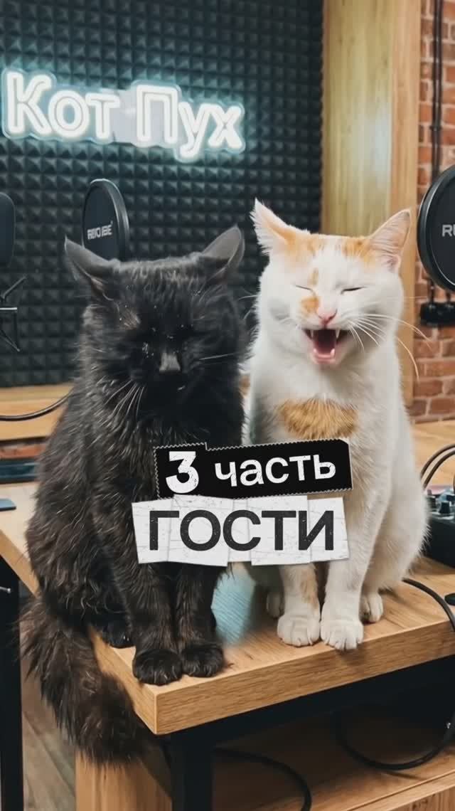 Гости 3 часть