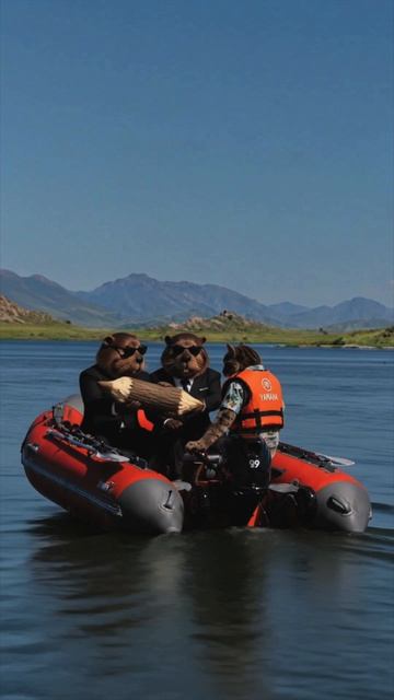 Плюсы от покупки моторной лодки