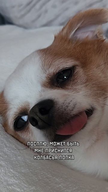 Диета