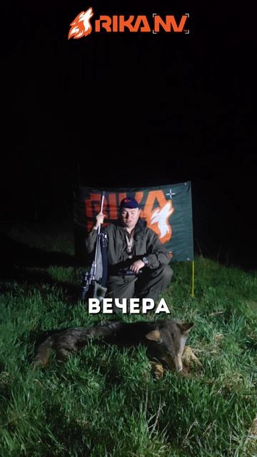 🐺 Волк в прицеле тепловизора: две истории ночной охоты от Олега Крупицы!