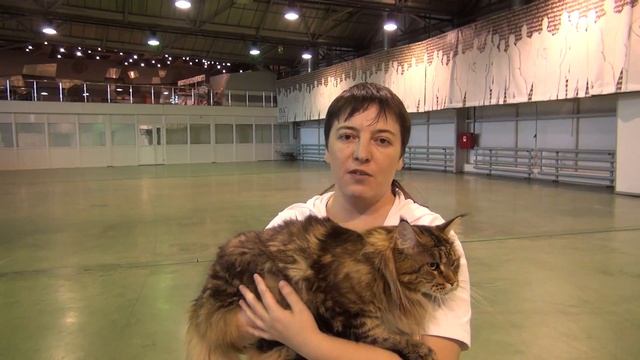 Видео-отзыв о применении Lactis Zoo