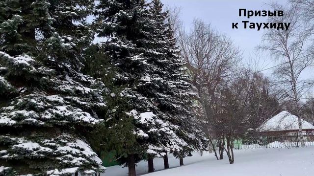 Важность изучение арабского языка в Исламе.