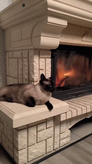 Предкаминные беседы