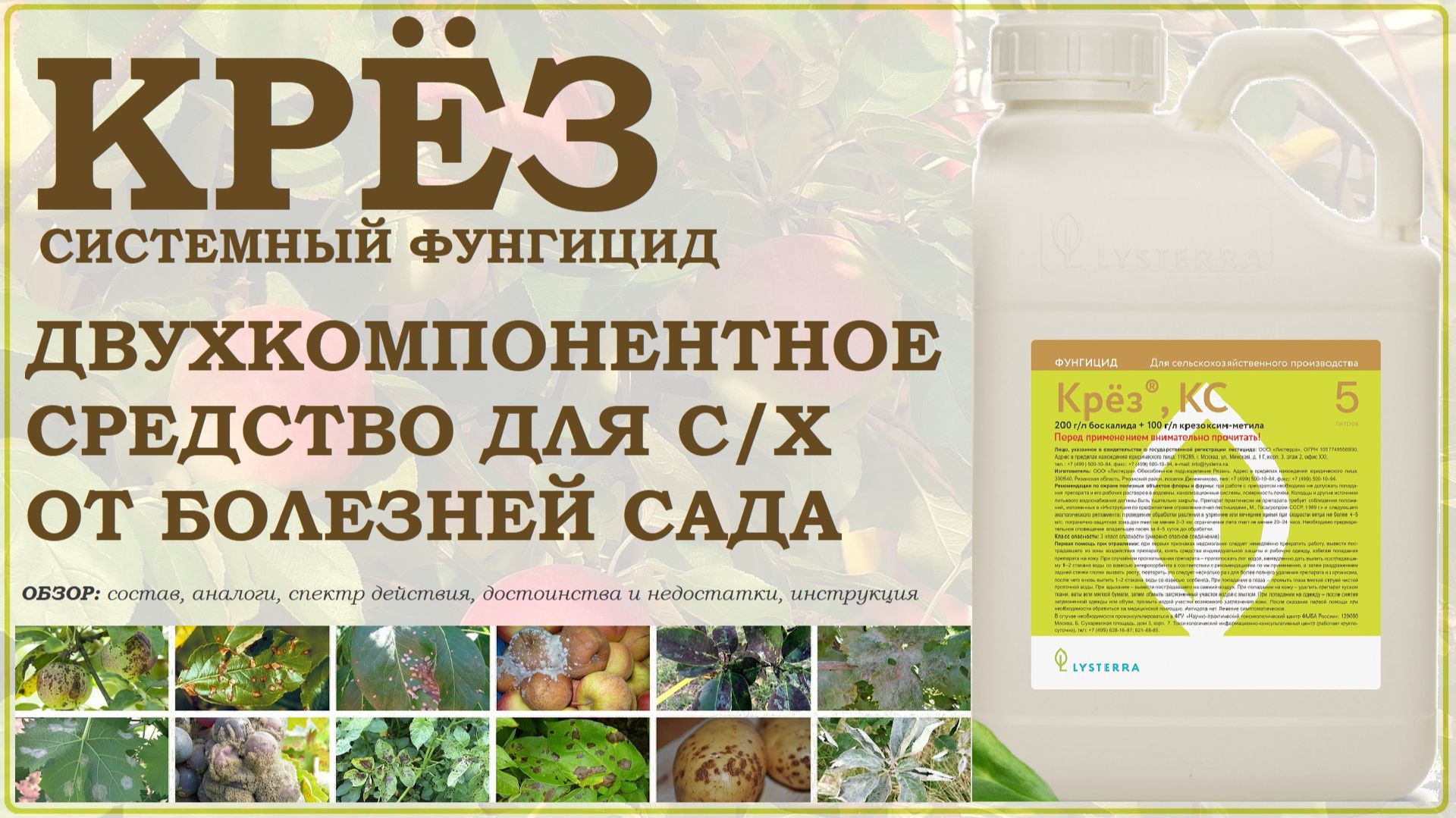Крёз - комбинированное средство от болезней сада для сельского хозяйства. Обзор фунгицида