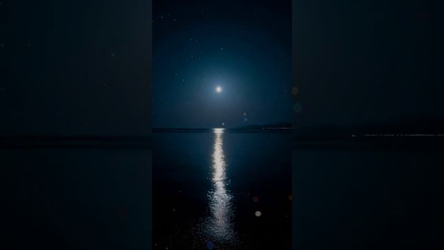 вчерашний день.  ,   Франция