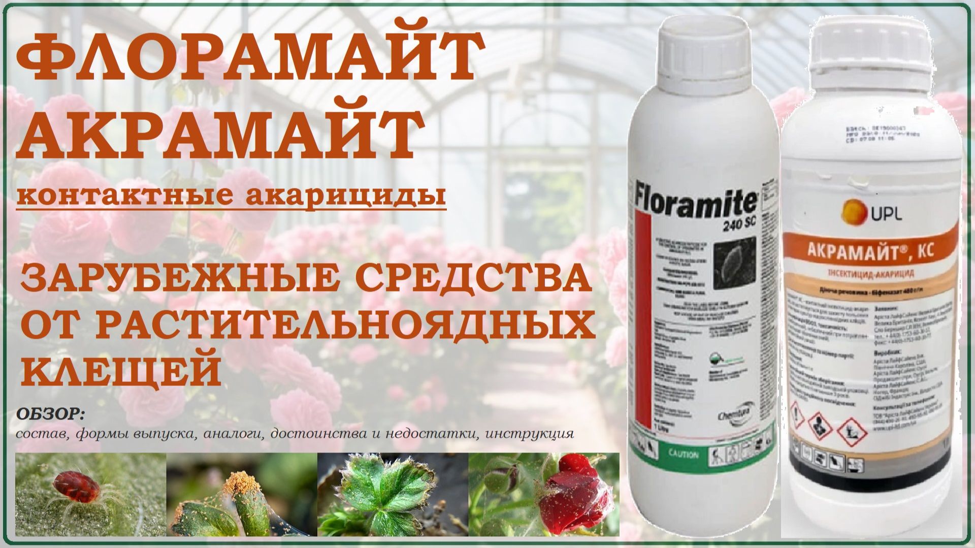Флорамайт и Акрамайт  зарубежные средства от растительноядных клещей. Обзор акарицидов