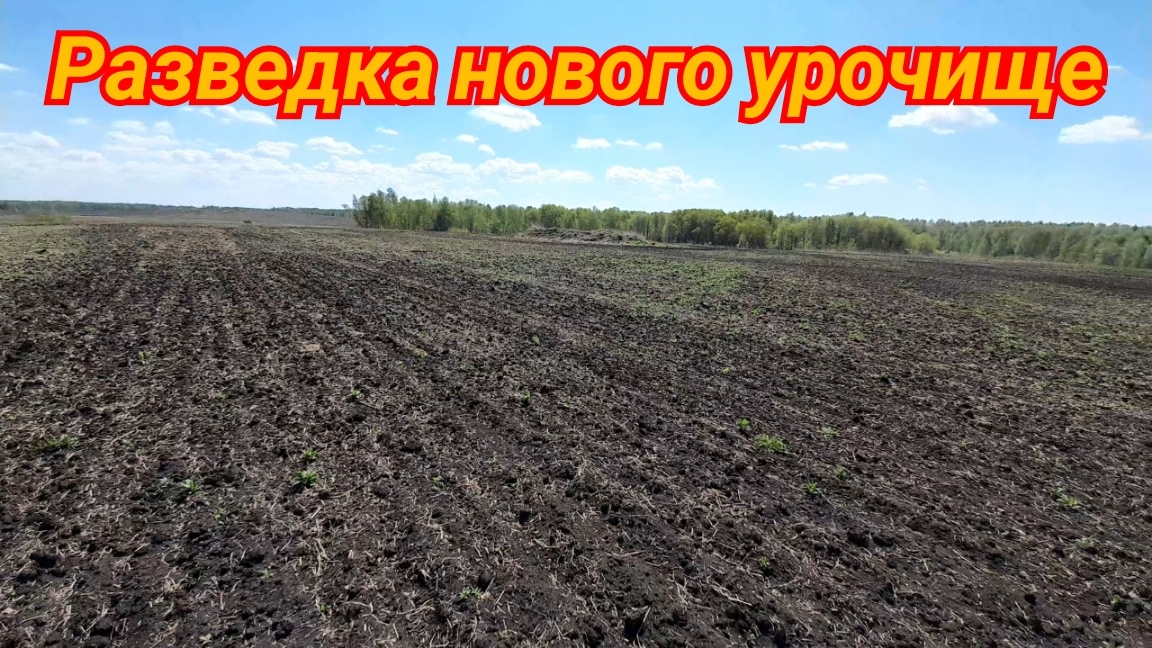 Еду на дальние расстояния поиск распаханного урочище