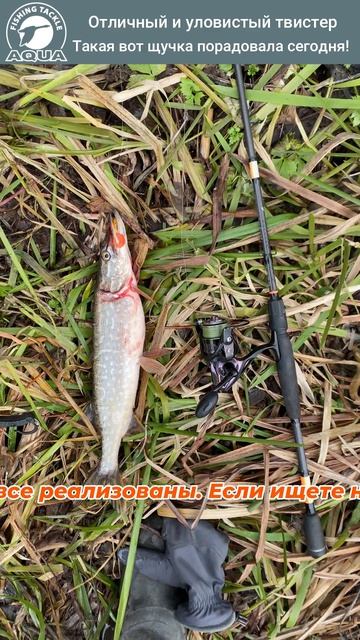🎣 Щучка не устояла!  #рыбалка #fishing