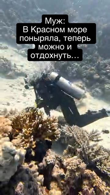 Дайвинг затягивает
