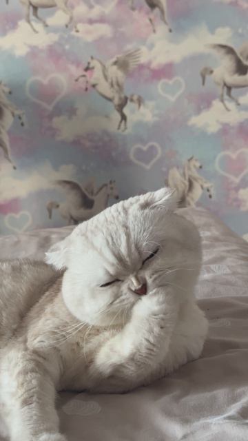 Мое утречко. Мое любимое занятие.