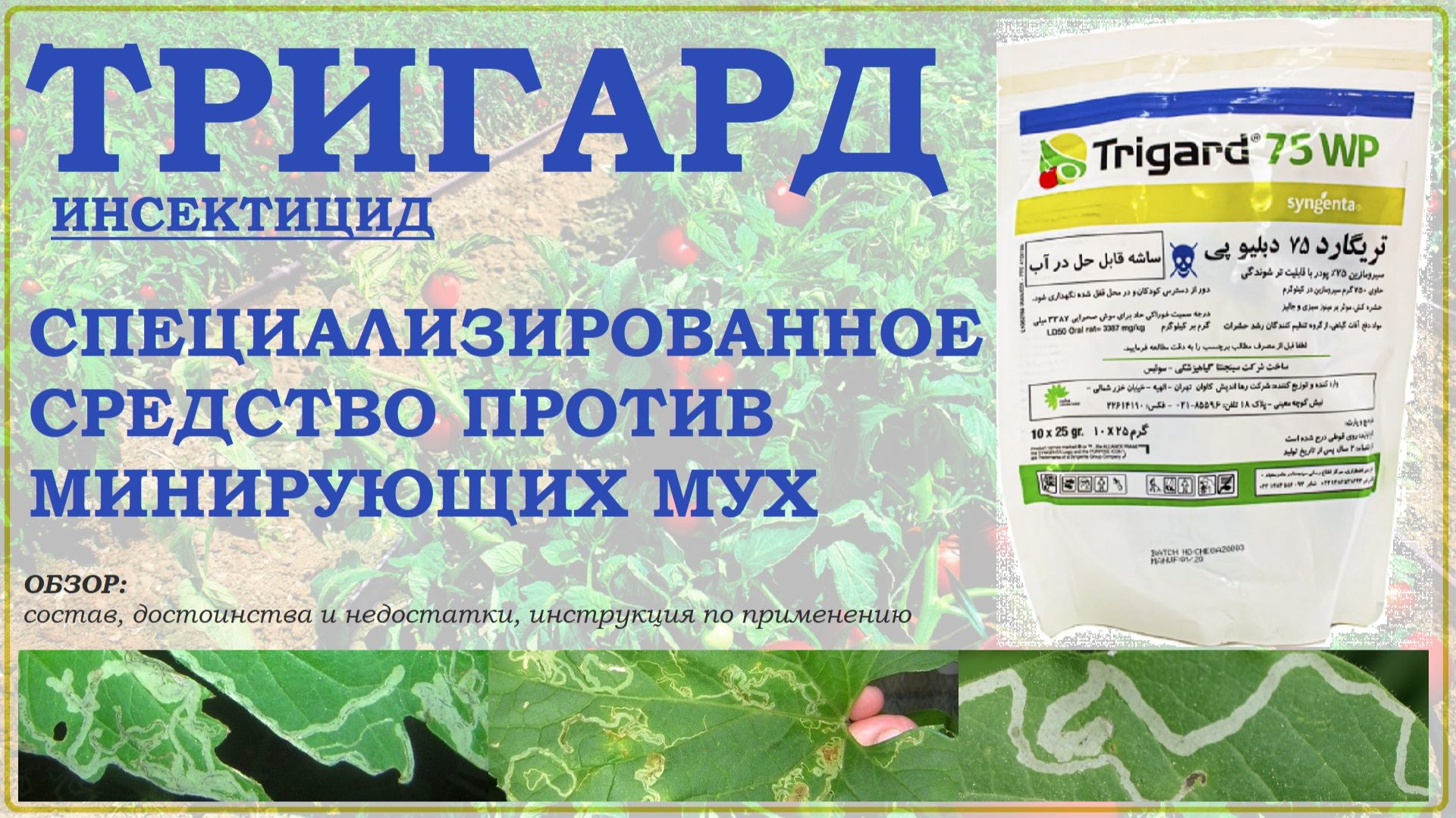 Тригард  уникальное зарубежное средство от минирующих мух и личинок двукрылых. Обзор инсектицида
