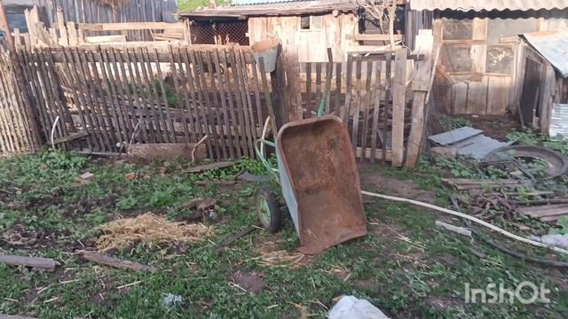 Высадила весь огород 🏡🏡🏡