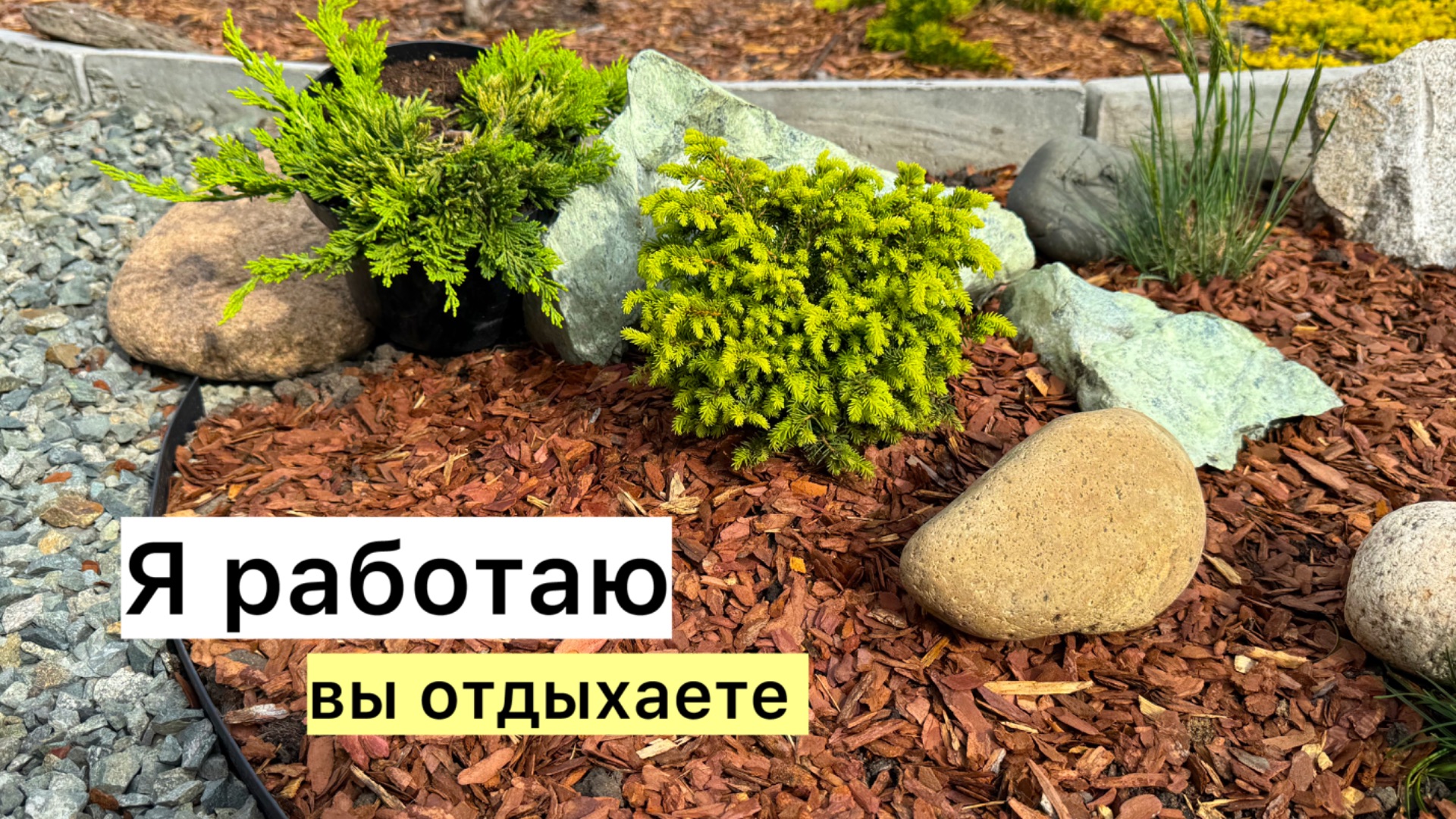 Ваше любимое видео! Рабочий ВЛОГ! Создала новую клумбу за 1 день!