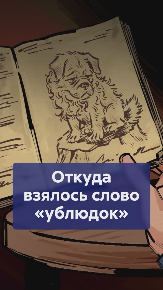 Как слово про животных стало оскорблением! Эволюция слова УБЛЮДОК #происхождениеслова