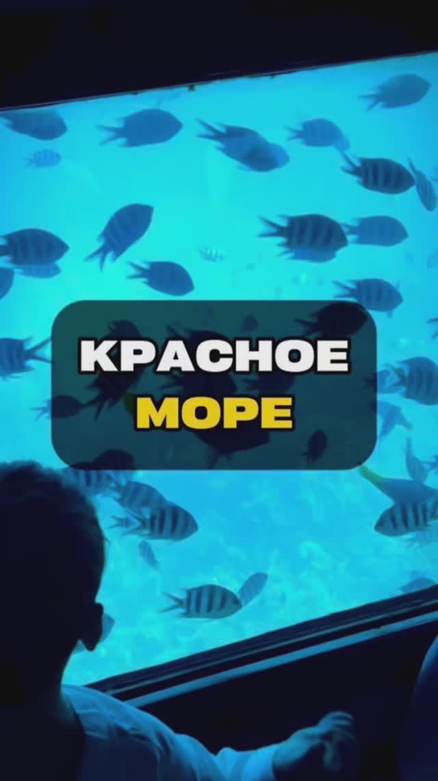 Красное море Египта | Египет