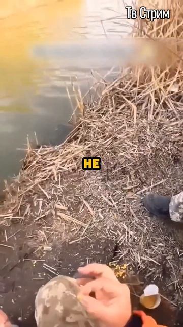 Настоящий рыбак раскрыл секрет почему дома не кто не ест рыбу.🐟