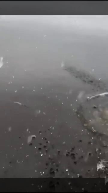 Пока думали что предпринять, щучка и ушла! Красотка!