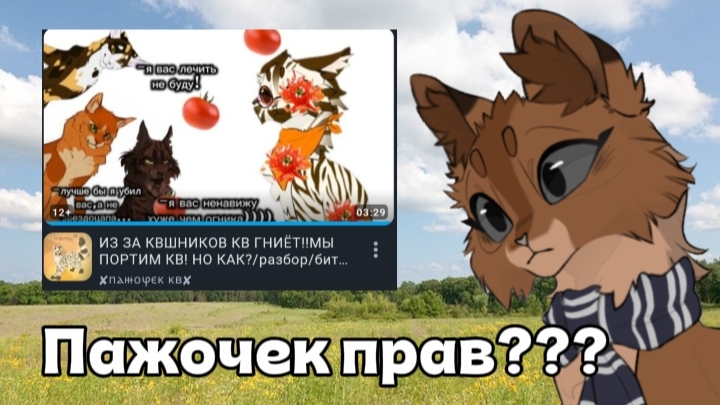 ПАЖОЧЕК ПРАВ ЧТО ИЗ-ЗА КВШНИКОВ КВ ГНИЁТ???