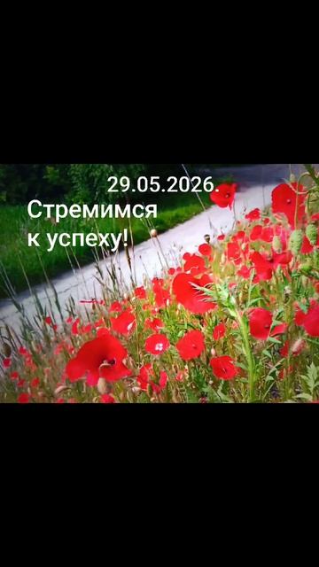 Девиз дня!✨🌈☀️29.05.2026. Стремимся к успеху всегда!#мысли #слова #чувства #дела #разум #душа