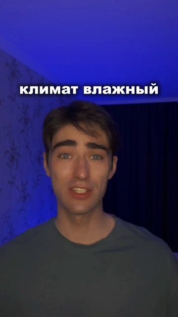 Утепление дома не выбирайте первое попавшееся! Разбираем лучшие варианты 🔥🛠️
