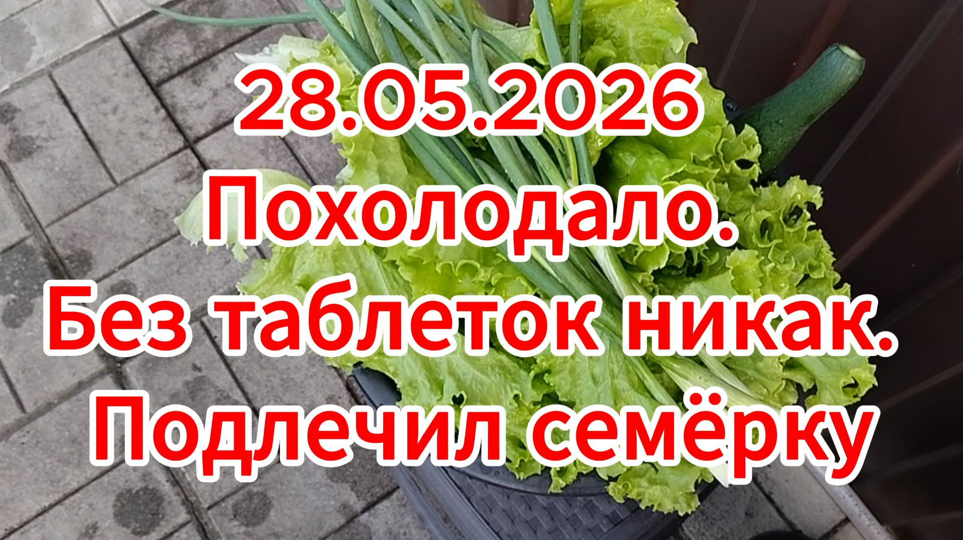 28.05.2026 Похолодало. Без таблеток никак. Подлечил семёрку