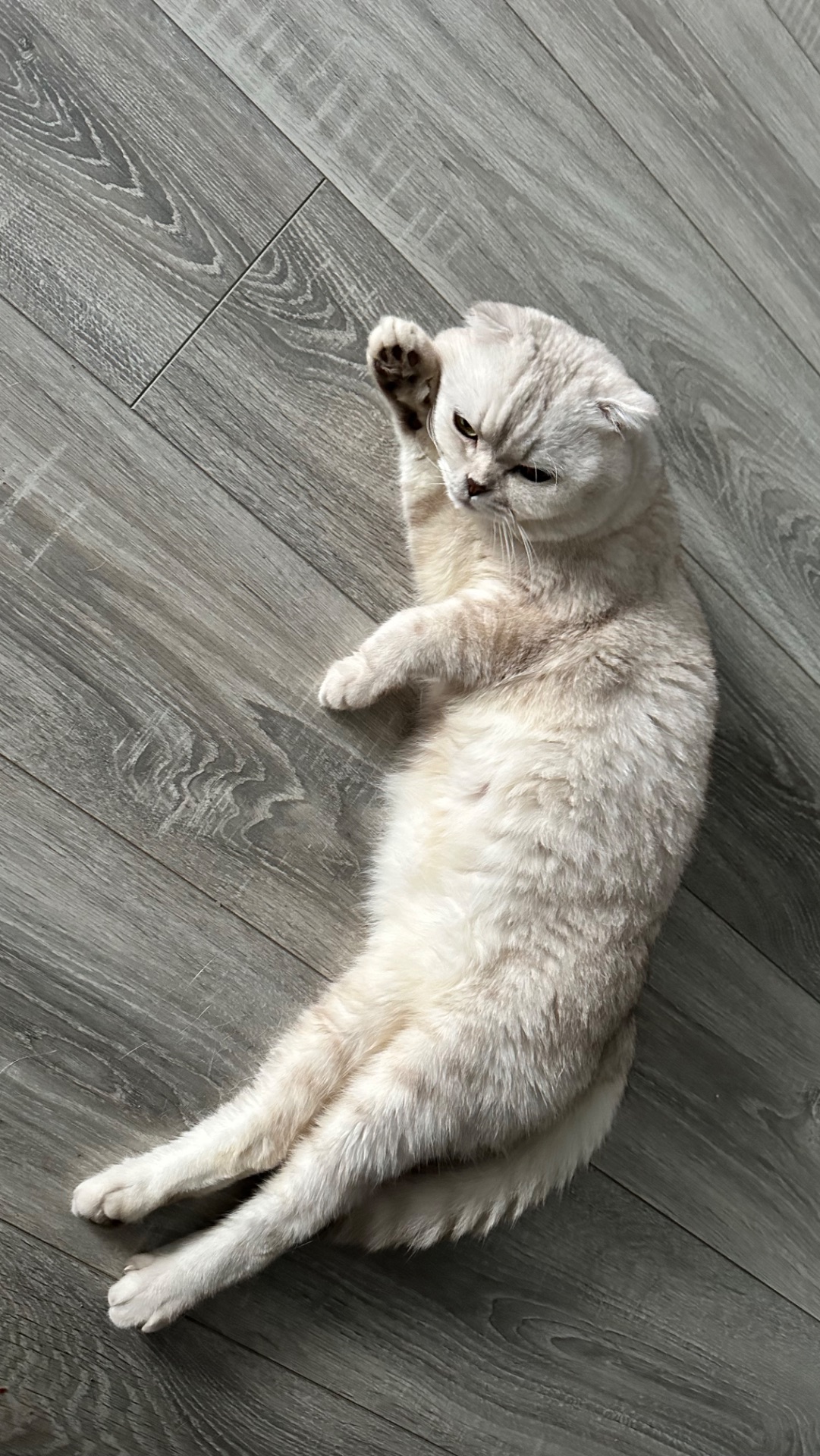 Отличная погода сегодня. Время для прогулок.
