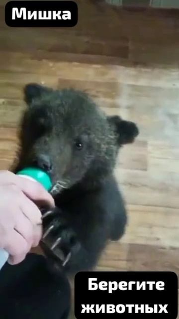 Каждая ЖИЗНЬ важна. И ее надо сохранить..Беречь 🛡️.