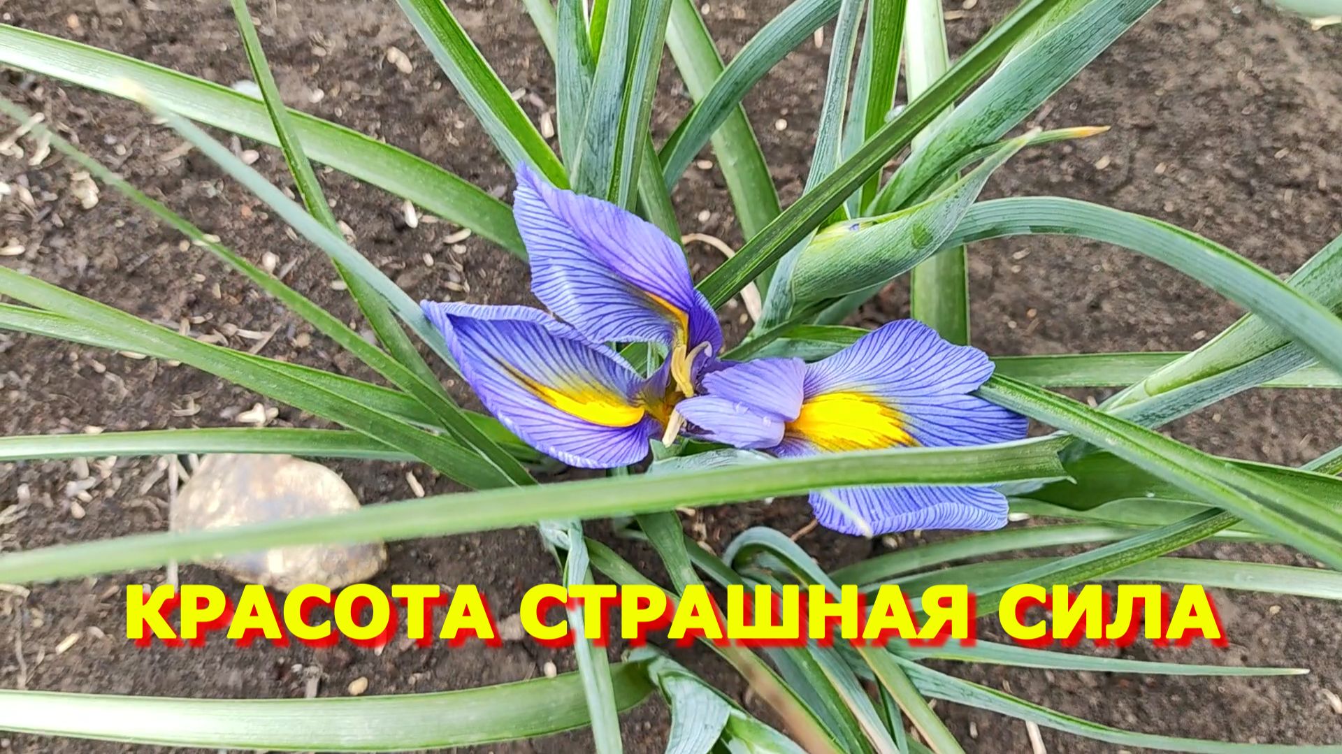 93.Переезд на Юг Летала как стрела Прополка травы