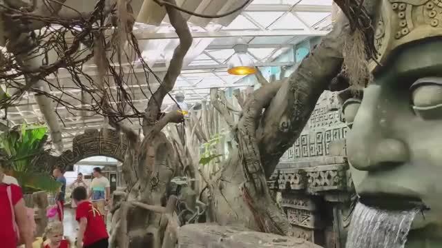 Сафари-парк на Солнечном острове, 9 часть, сентябрь 2022 года.