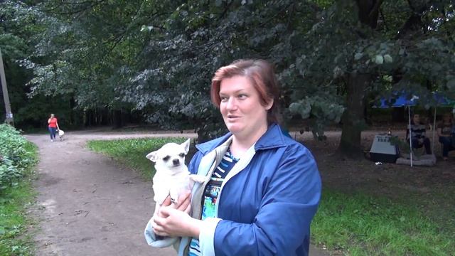 Видео-отзыв Питомник Чихуа-хуа Ирина