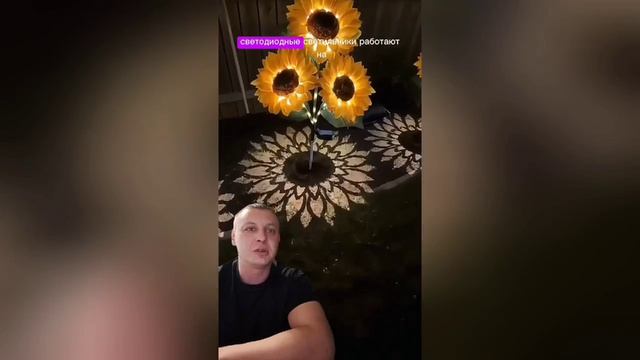 9 топ находок с Wildberries которые сейчас популярны