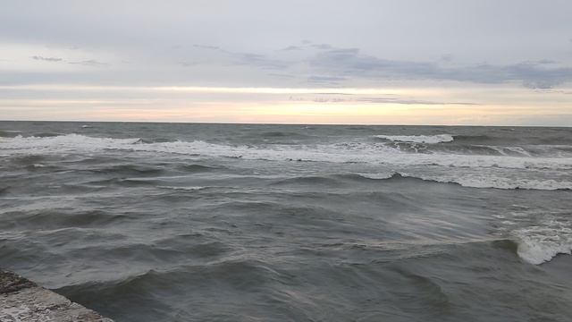 1000135062.mp4