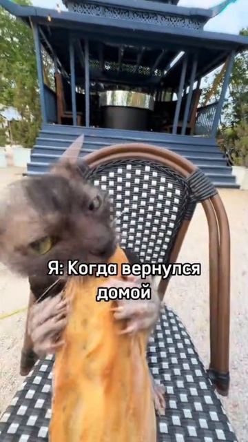 1000045462.mp4