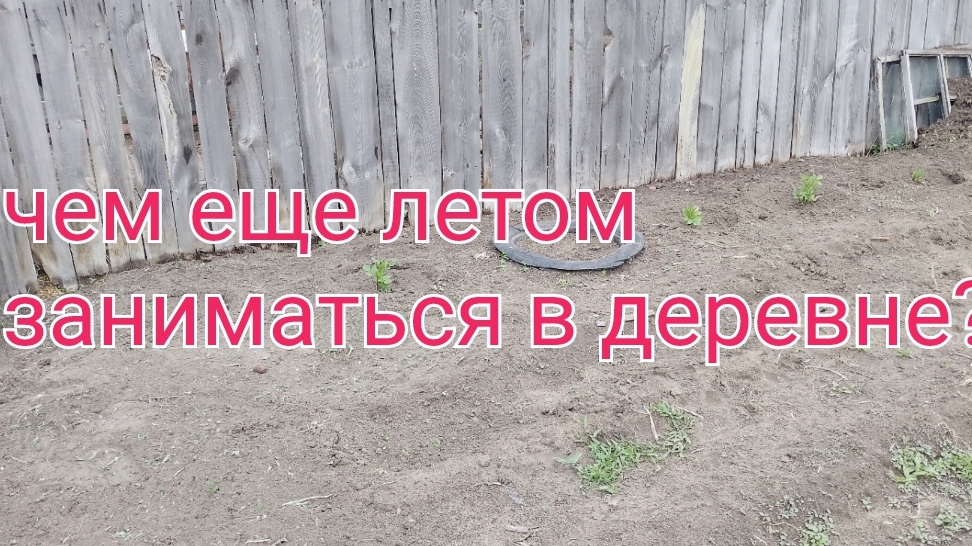 огородные дела/ хочется красоты/