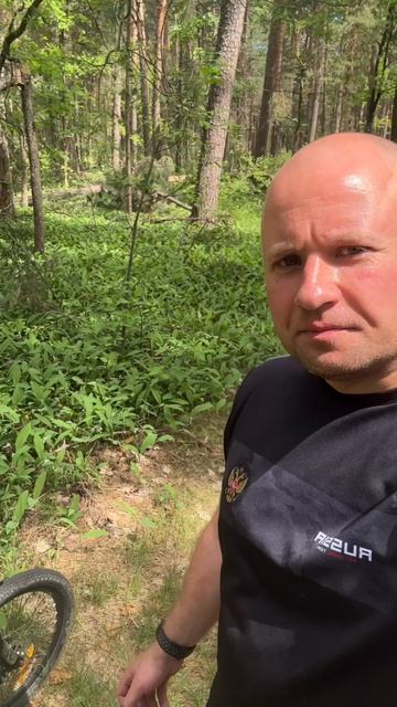 Покатушки по лесу с сыном