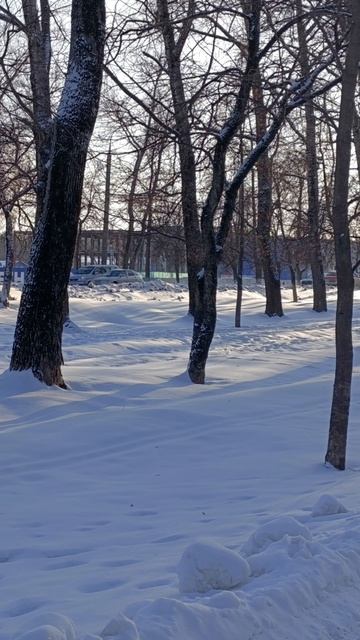 Просто зима. 
Зарисовка.