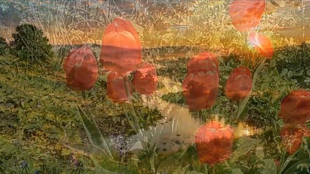 588.=ЗАРЯ=. Сл. А. Зенцов, муз. и исп. и видио А. Масленников.