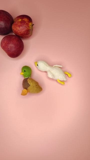 Утиная компания в сборе 🦆