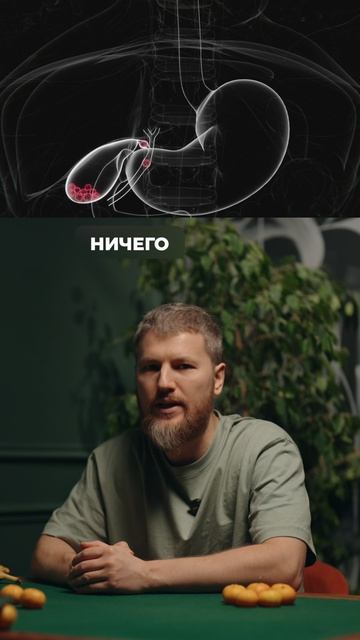 Почему мы за висцералку?