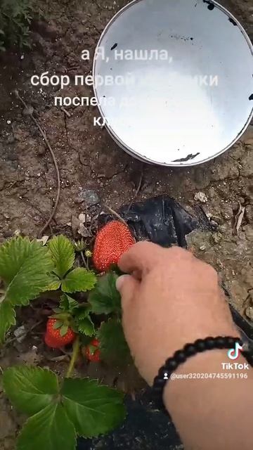 1000026677.mp4