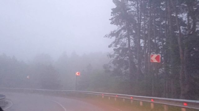 Дорога в туман..