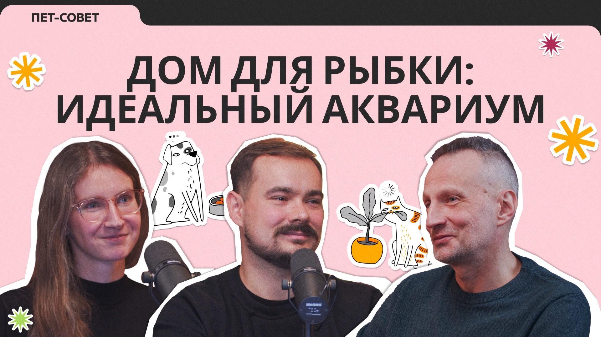 Пет-совет — Дом для рыбки идеальный аквариум