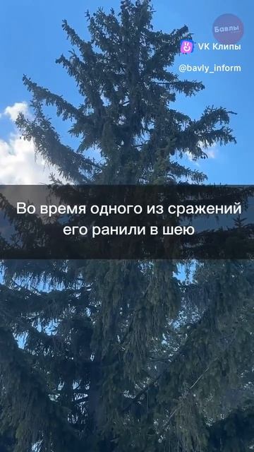 Встретил день победы в госпитале