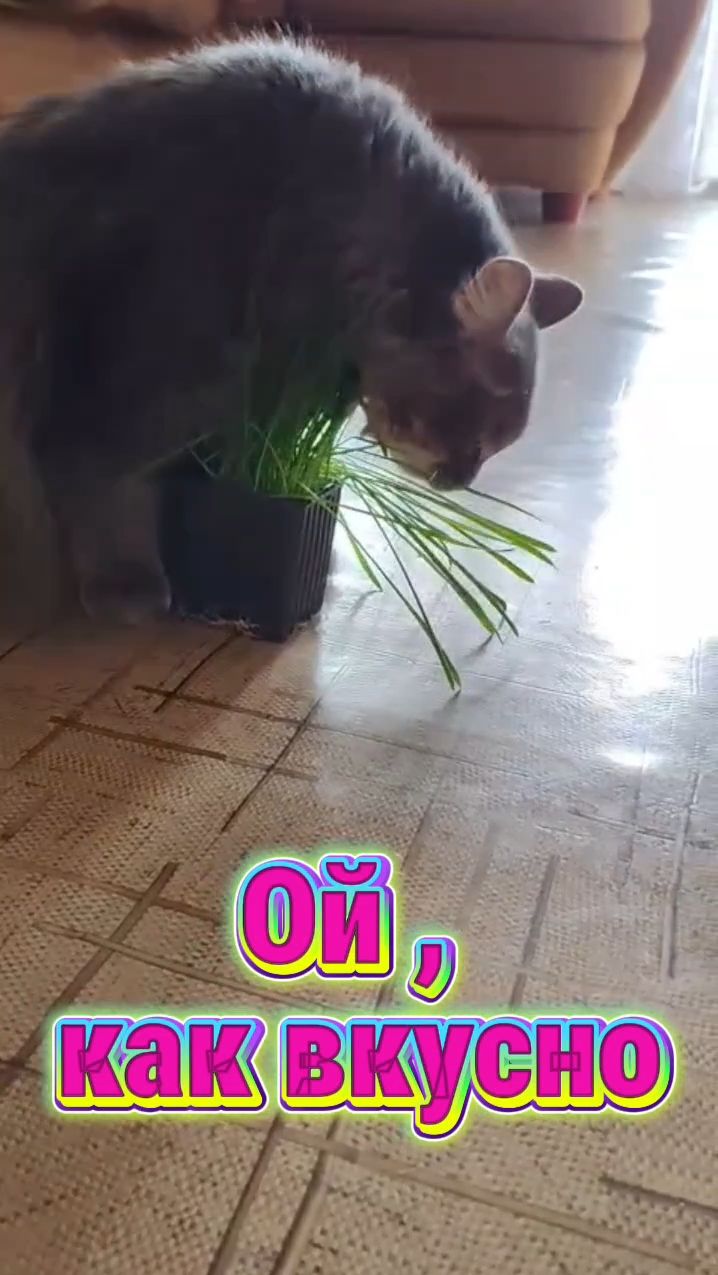 Ой, как вкусно...