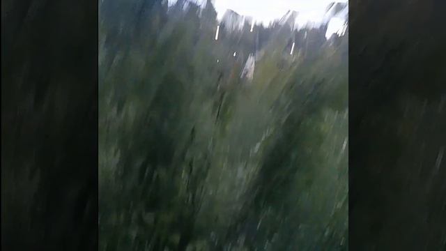природа