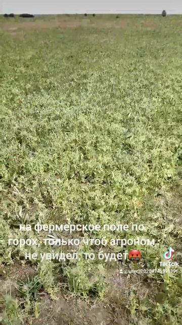 1000026756.mp4