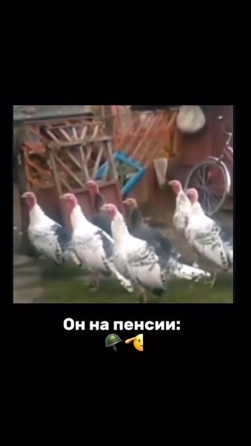 Нас всех это ждёт🤣