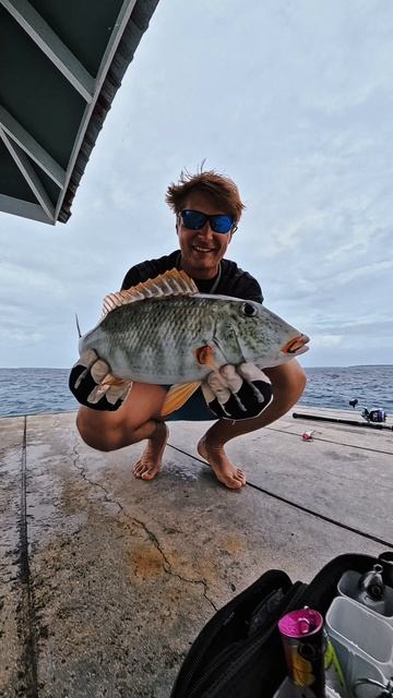 🎣😁Окунь?)